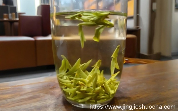 什么是乌牛早茶.jpg