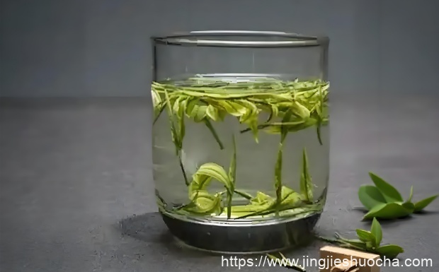 什么是资溪白茶.jpg